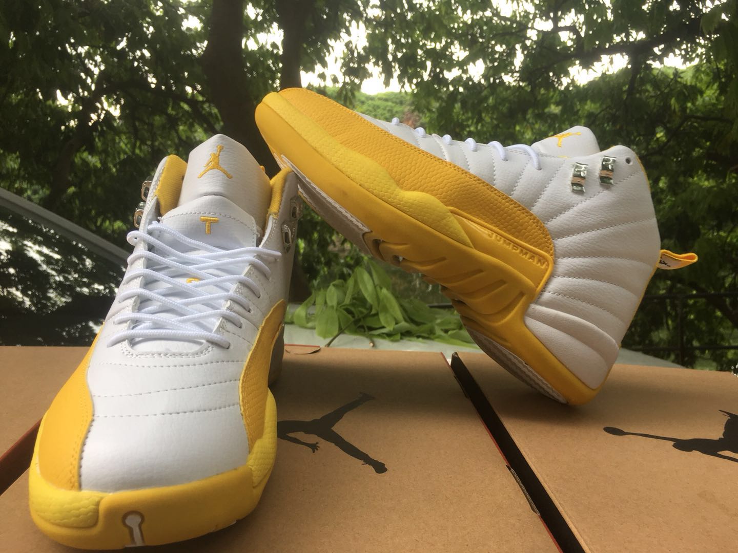 New Air Jordan 12 Retro White Yellow